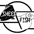 My Website